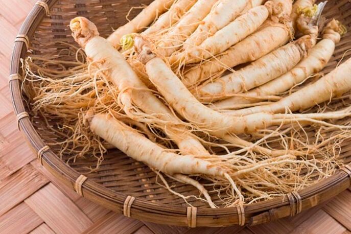 Raíz de ginseng para facer unha tintura que estimula o fluxo sanguíneo ao tecido do pene